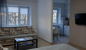 1-комнатная квартира Набережная реки Великой 4 в Пскове - фото 3