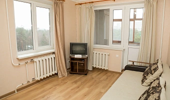 1-комнатная квартира Дзержинского 9 в Жуковском - фото 3