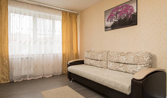 1-комнатная квартира Максима Горького 146/а в Нижнем Новгороде - фото 2
