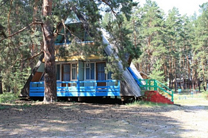 Базы отдыха Рубцовска в лесу, "Петухов лог" в лесу - фото