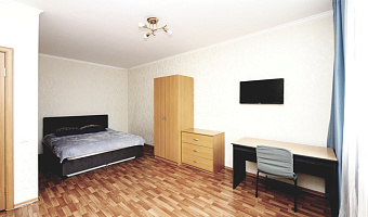 1-комнатная квартира Адоратского 3Г в Казани - фото 2