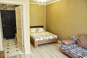 Мотели в Калуге, "На Телевизионной" 1-комнатная мотель - фото