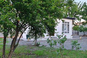 Дома Абхазии с бассейном, "Калипсо" с бассейном - раннее бронирование