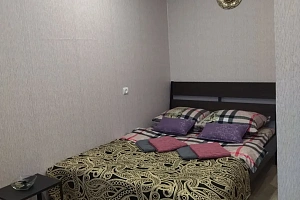 Гостиницы Алексина с собственным пляжем, 1-комнатная Тульская 138 с собственным пляжем - цены