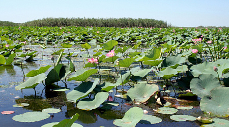 5 национальных парков юга России
