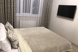 Мотели в Минеральных Водах, квартира-студия Новоселов 5к1 мотель - цены