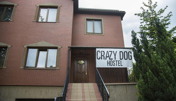 &quot;Crazy Dog&quot; хостел в Калининграде - фото 1