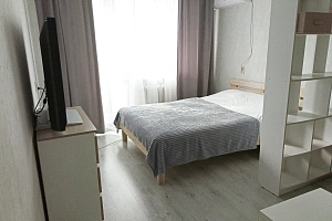 Квартира в , 1-комнатная Героев Даманского 40 - фото