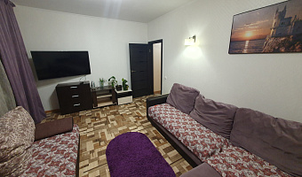 2х-комнатная квартира Ярыгинская 3 в Красноярске - фото 3