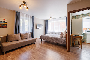 1-комнатная квартира Николая Руднева 64Б