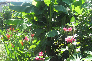 "Катран" частный сектор