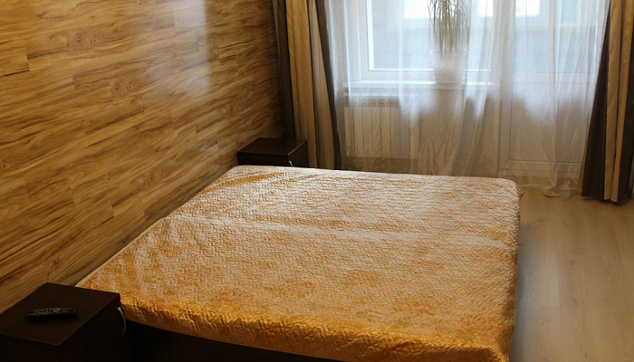 1-комнатная квартира Павловский 221 в Барнауле - фото 1