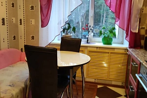 1-комнатная квартира Лесная 12 в Медвежьегорске фото 9