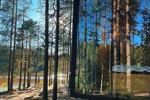 Базы отдыха в Ленинградской области с сауной, "GREENVALD Парк Скандинавия" с сауной - цены