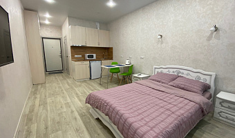 1-комнатная квартира Крымская 10 в Северодвинске - фото 3