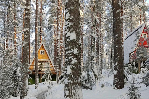 Базы отдыха в Ленинградской области недорого, "GREENVALD Парк Скандинавия" недорого