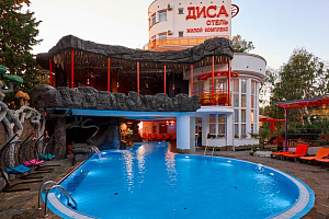 &quot;Отель Диса&quot; отель