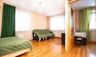 1-комнатная квартира Коломейцева 8 в Кемерово - фото 4