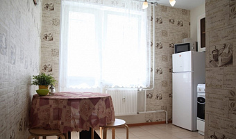1-комнатная квартира Ватутина 41 в Петрозаводске - фото 4