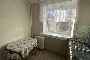 1-комнатная квартира Комсомольская 6 в Зеленодольске 5