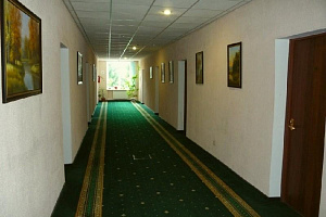 Квартиры Алексина 1-комнатные, "Салют" 1-комнатная - фото