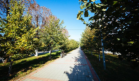 Фото объекта «Мини-гостиница Кати Соловьяновой 131 в Анапе», 1