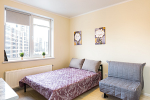 Квартира-студия Плесецкая 10 эт 6