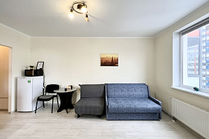 Квартира-студия Плесецкая 10 эт 6