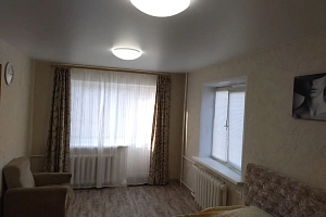 1-комнатная квартира Крупской 3 в Железногорске фото 5