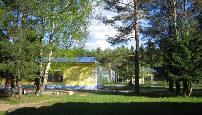 &quot;Лесная сказка&quot; гостевой дом в с. Тохтуева (Соликамск) - фото 1