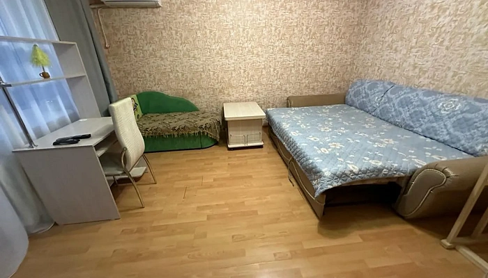 1-комнатная квартира Островского 7 в Арсеньеве - фото 1