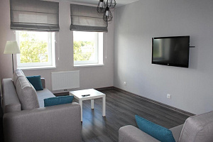 «На улице Мосина 10» 1-комнатная квартира