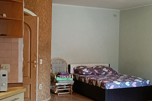 1-комнатная квартира Днепровский 120Б в Ростове-на-Дону 10