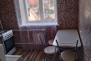 1-комнатная квартира Некрасова 9 в Алексеевке фото 4