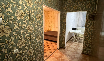 1-комнатная квартира Семьи Шамшиных 20 в Новосибирске - фото 4