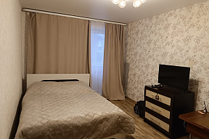 1-комнатная квартира Анкудинова 1