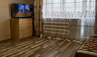 1-комнатная квартира Некрасова 9 в Алексеевке - фото 2