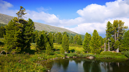 Едем на Алтай в 2023 году: Отдых в селе Чепош