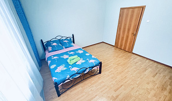 1-комнатная квартира Дмитриева 4 в Балашихе - фото 3