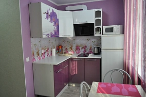 1-комнатная квартира Поспелова 15 в Таштаголе фото 13