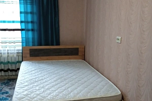 1-комнатная квартира Северный 19 в Павловске фото 3