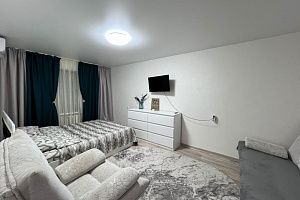 1-комнатная квартира Илишкина 3