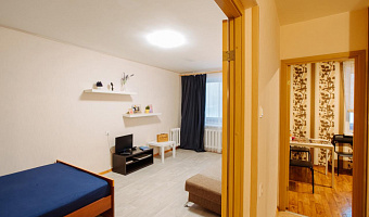 1-комнатная квартира Ватутина 28 в Петрозаводске - фото 5