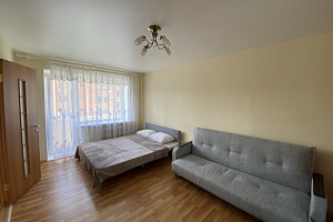 Квартиры Петрозаводска с размещением с животными, 1-комнатная Красная 34 с размещением с животными - фото