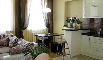 2х-комнатная квартира Лиговский 109 в Санкт-Петербурге - фото 3
