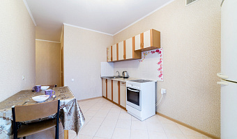 1-комнатная квартира Адоратского 4 в Казани - фото 4