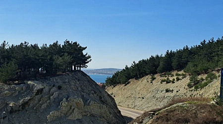 Отдых в Геленджике в марте 2026 — подробный гид для туристов