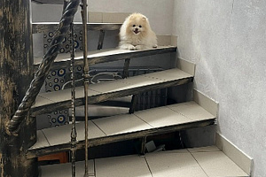 Фото номера «3х-комнатный дом под-ключ», 4