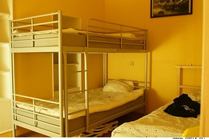 "SHAMROCK MINI-HOTEL" хостел