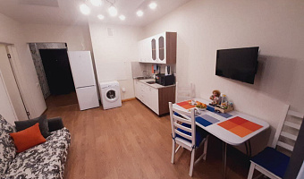 1-комнатная квартира Дальневосточная 112 в Иркутске - фото 5